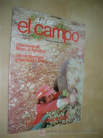 B&uuml;cher: AS&Iacute; ES EL CAMPO. OCTUBRE-DICIEMBRE 1980. N&ordm;6. CAMPA&Ntilde;A VIN&Iacute;COLA - REVISTA