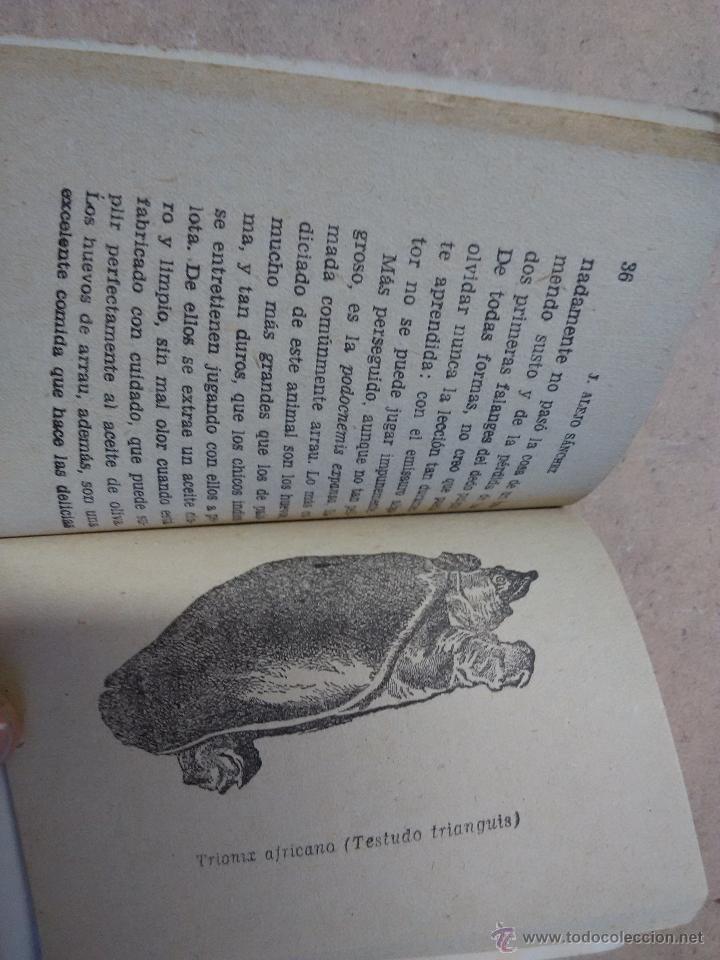 Libros: reptiles.Enciclopedia pulga - Foto 2