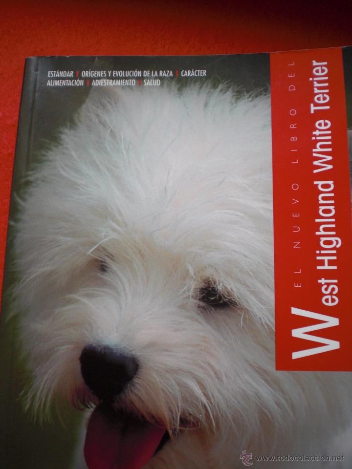 Libros: LIBRO PERROS PERRO TERRIER HIGHLAND WHITE ANIMALES DE COMPA&Ntilde;IA CONNOR ENV&Iacute;O GRATIS - Foto 1
