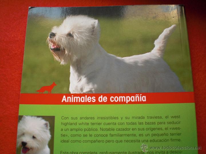 Libros: LIBRO PERROS PERRO TERRIER HIGHLAND WHITE ANIMALES DE COMPA&Ntilde;IA CONNOR ENV&Iacute;O GRATIS - Foto 2