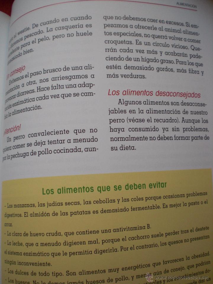 Libros: LIBRO PERROS PERRO TERRIER HIGHLAND WHITE ANIMALES DE COMPA&Ntilde;IA CONNOR ENV&Iacute;O GRATIS - Foto 3