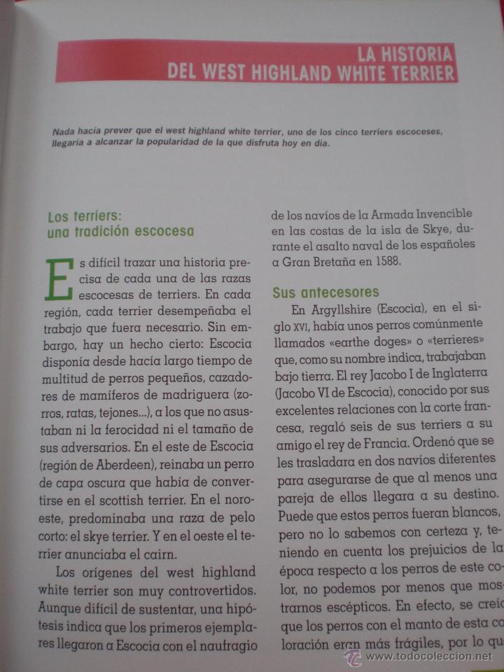 Libros: LIBRO PERROS PERRO TERRIER HIGHLAND WHITE ANIMALES DE COMPA&Ntilde;IA CONNOR ENV&Iacute;O GRATIS - Foto 5