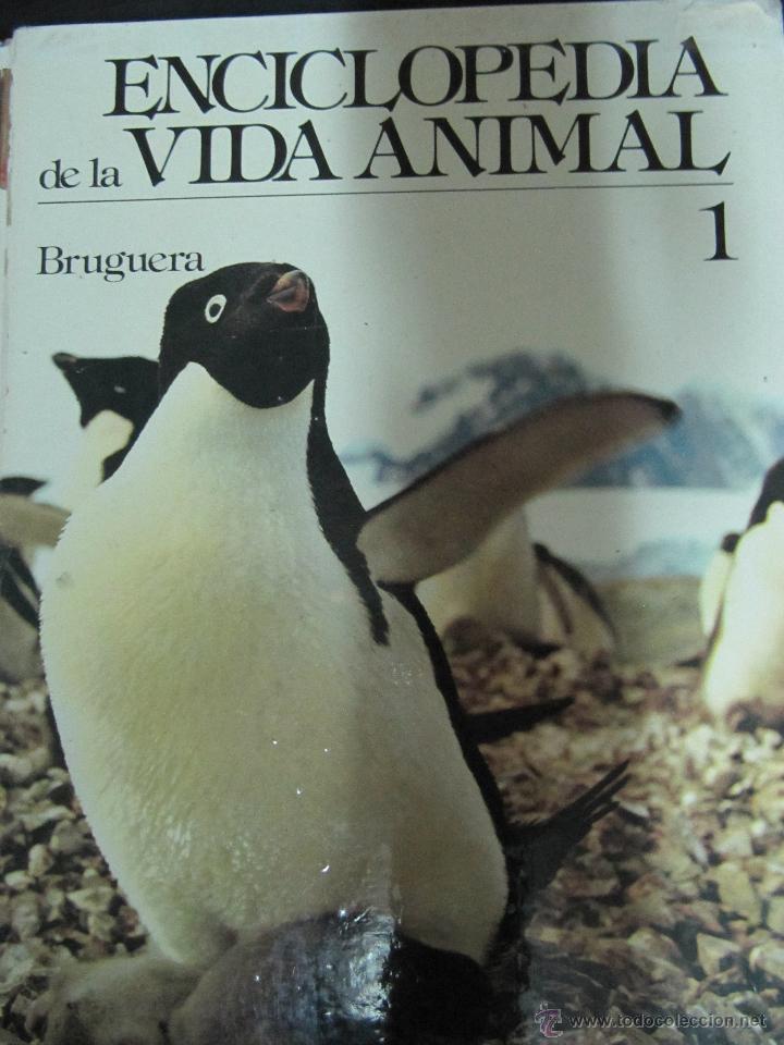 Libros: LIBRO ENCICLOPEDIA DE LA VIDA ANIMAL. BRUGERA. VOLUMEN 1 - Foto 1
