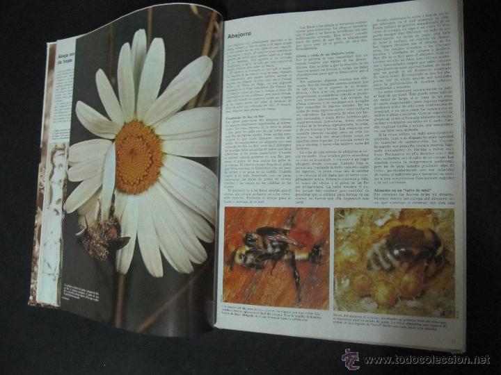 Libros: LIBRO ENCICLOPEDIA DE LA VIDA ANIMAL. BRUGERA. VOLUMEN 1 - Foto 2