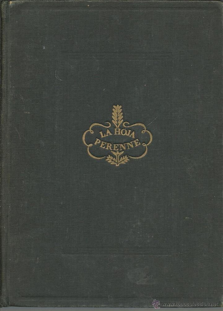 Libros: ESTRELLA NEGRA - ZOLA ROSS - Foto 1