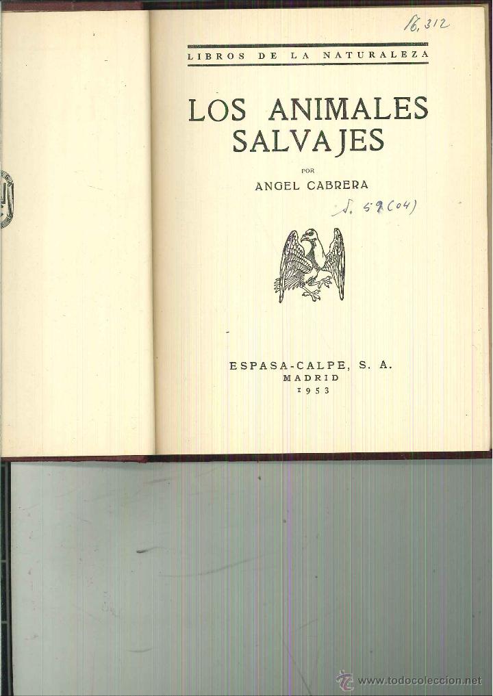 Libros: LOS ANIMALES SALVAJES. &Aacute;ngel Cabrera - Foto 1