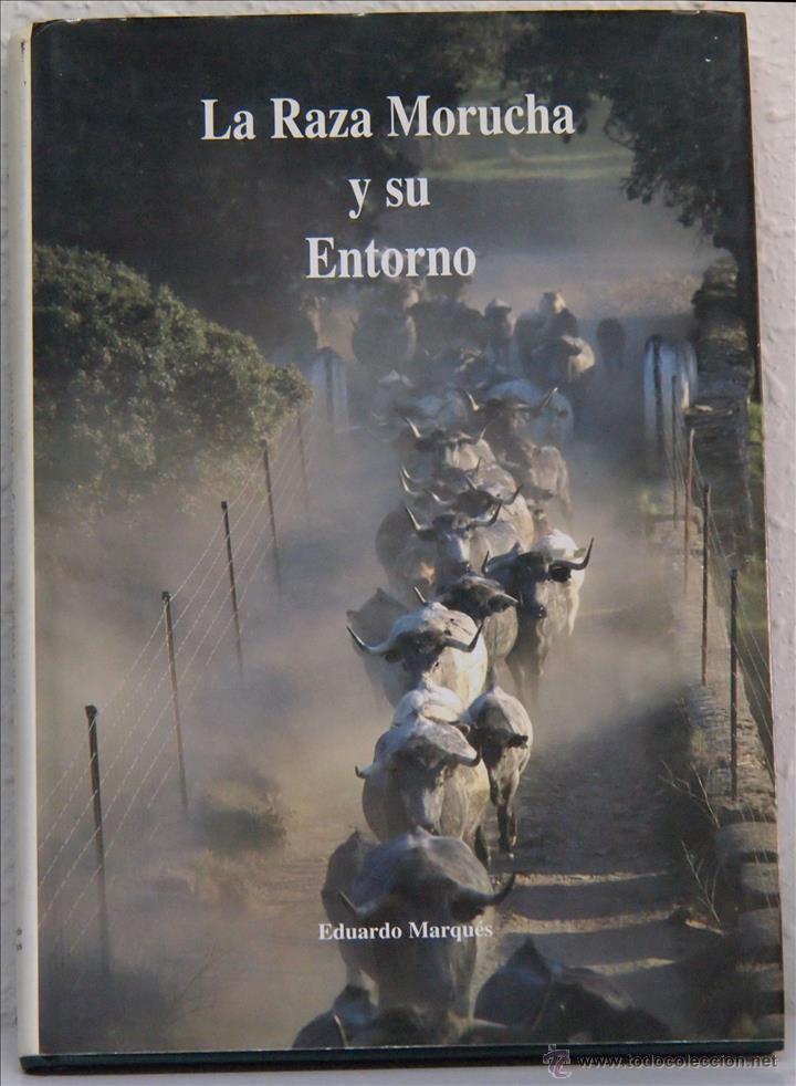 Libros: Eduardo Marques,  La raza morucha y su entorno - Foto 1