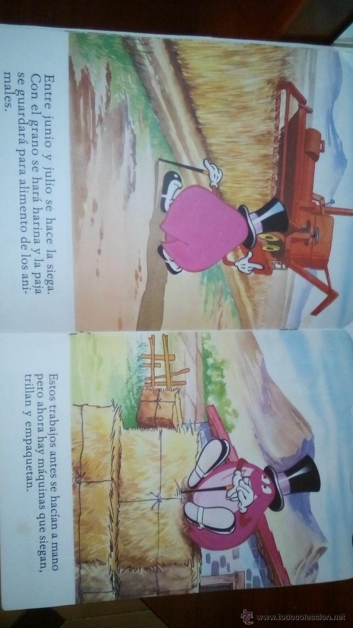 Libros: Libro cuento EL CHOLLO granjero N &ordm; 6 DISTEIN LIBROS 1985 TVE - Foto 2