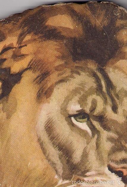 Libros: PARTE DE LA CARA  - Foto 4