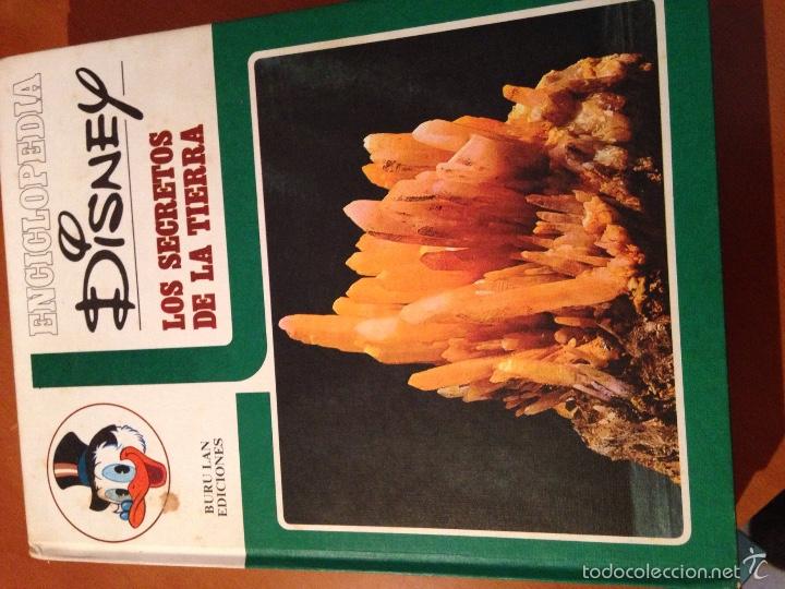 Libros: Enciclopedia Disney 1973 - Foto 1