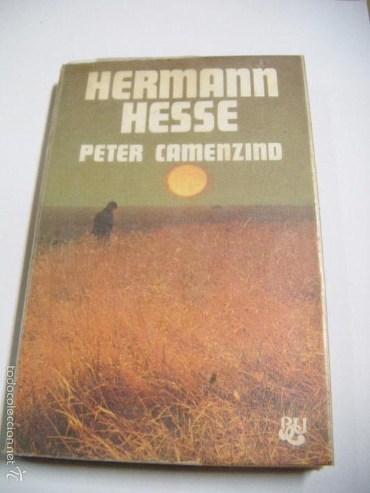 Libros: hermann hasse de peter camenzino - Foto 1