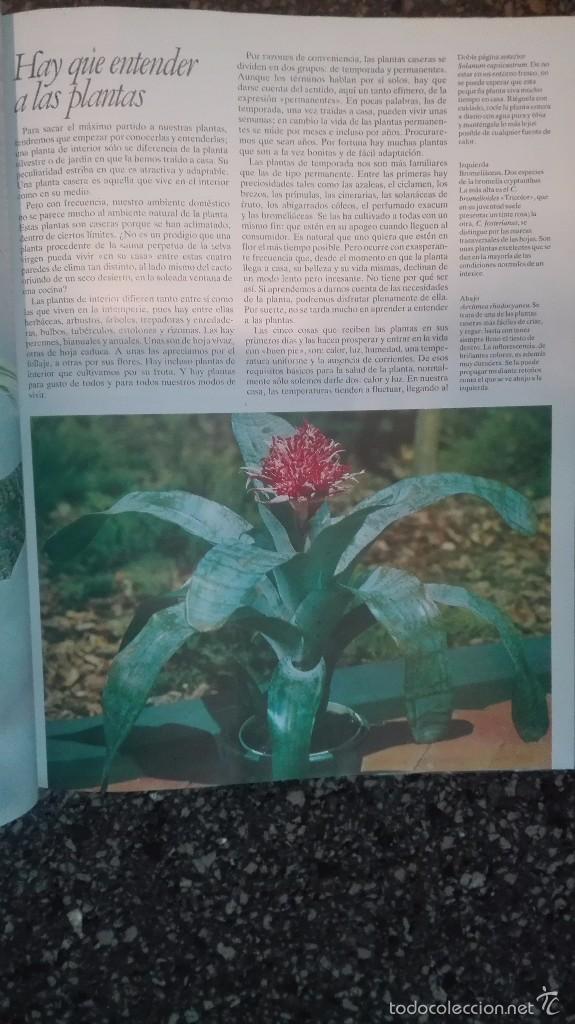 Libros: FLORES Y PLANTAS EN CASA - Foto 2