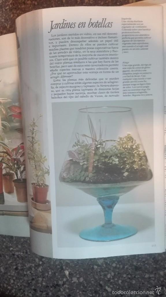 Libros: FLORES Y PLANTAS EN CASA - Foto 4