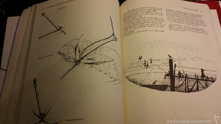 Libros: Libro de pesca en ingl&eacute;s seafood fishing - Foto 4