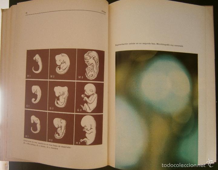 Libros: Helga - Erich f Bender - Foto 5