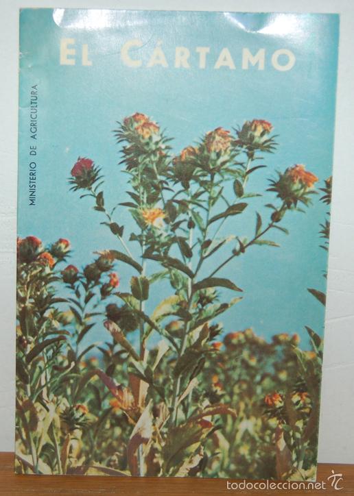Libros: EL C&Aacute;RTAMO - MANUEL GADEA LOUBRIEL - Foto 1