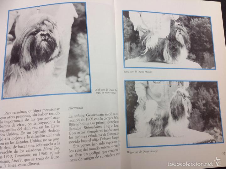 Libros: El shih Tzu - Foto 3