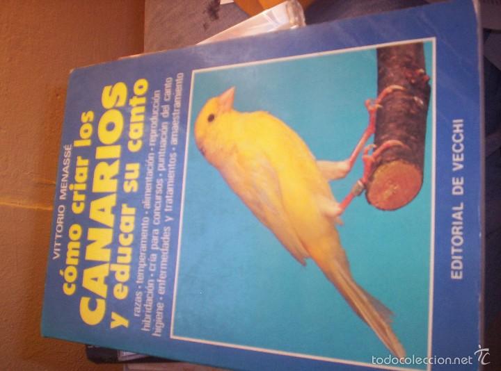 Libros: COMO CRIAR LOS CANARIOS Y EDUCAR SU CANTO - VITTORIO MENASSE - ED. DE VECCHI 1994 - Foto 1