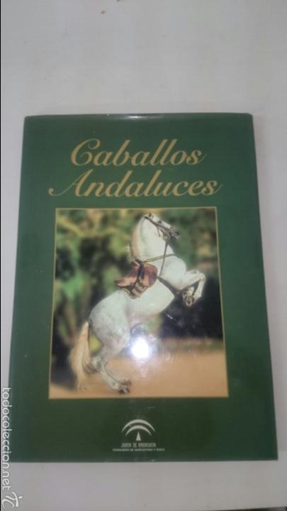 Libros: Caballos andaluces - Foto 1