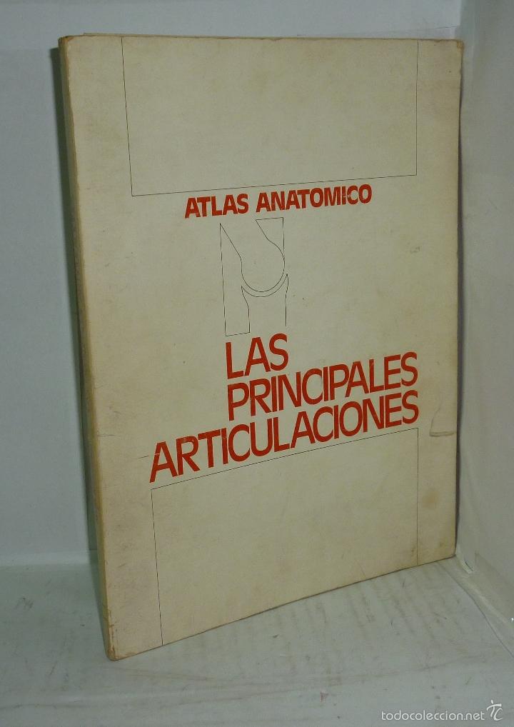 Libri di seconda mano: ATLAS ANATOMICO. LAS PRINCIPALES ARTICULACIONES