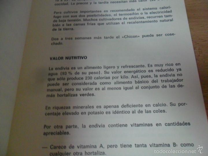 Libros: ORO VERDE - ALBAS, ANTONIO JOS&Eacute; - Foto 2