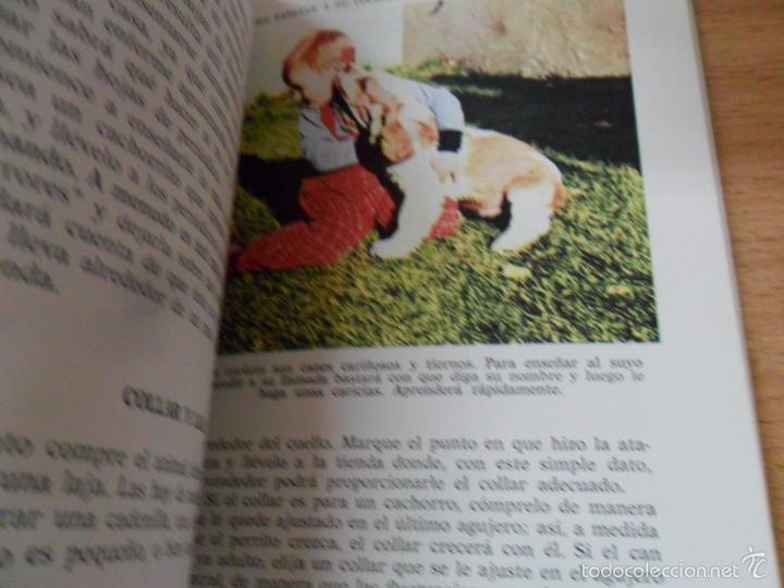 Libros: EL COCKER SPANIEL EVELYN MILLER - Foto 2