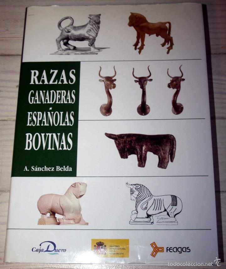 Libros: RAZAS GANADERAS ESPA&Ntilde;OLAS BOVINAS - Foto 1