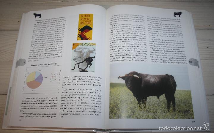 Libros: RAZAS GANADERAS ESPA&Ntilde;OLAS BOVINAS - Foto 3
