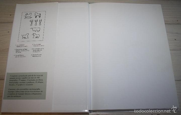Libros: RAZAS GANADERAS ESPA&Ntilde;OLAS BOVINAS - Foto 5