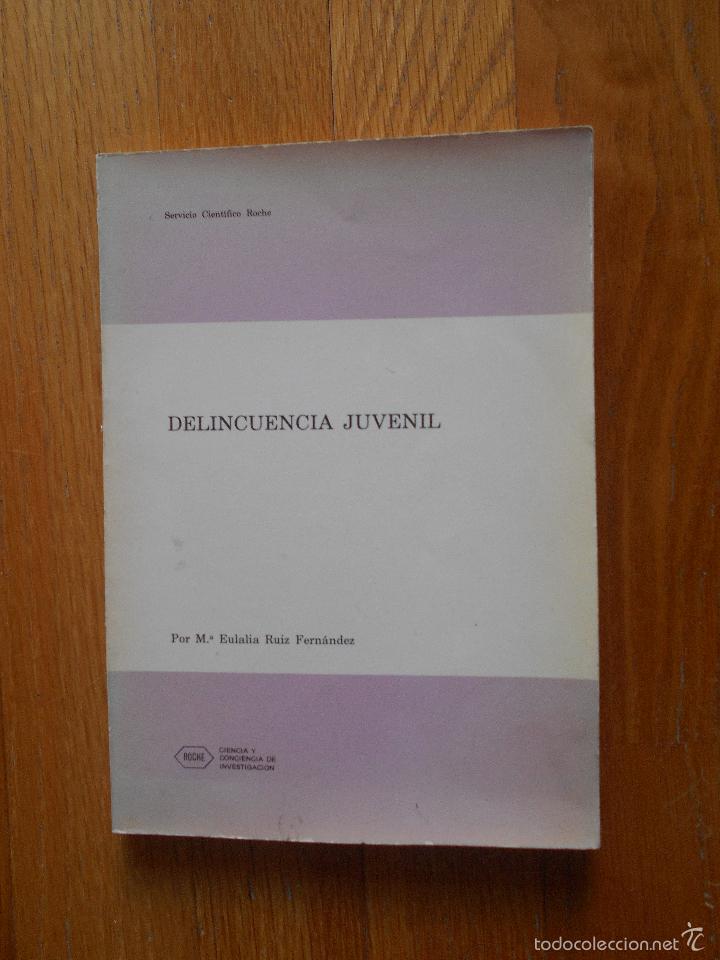 Libros: DELINCUENCIA JUVENIL, Eulalia Ruiz Fernandez - Foto 1