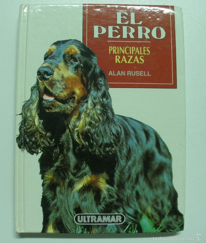 Libros: El Perro / Rusell, Alan - Foto 1