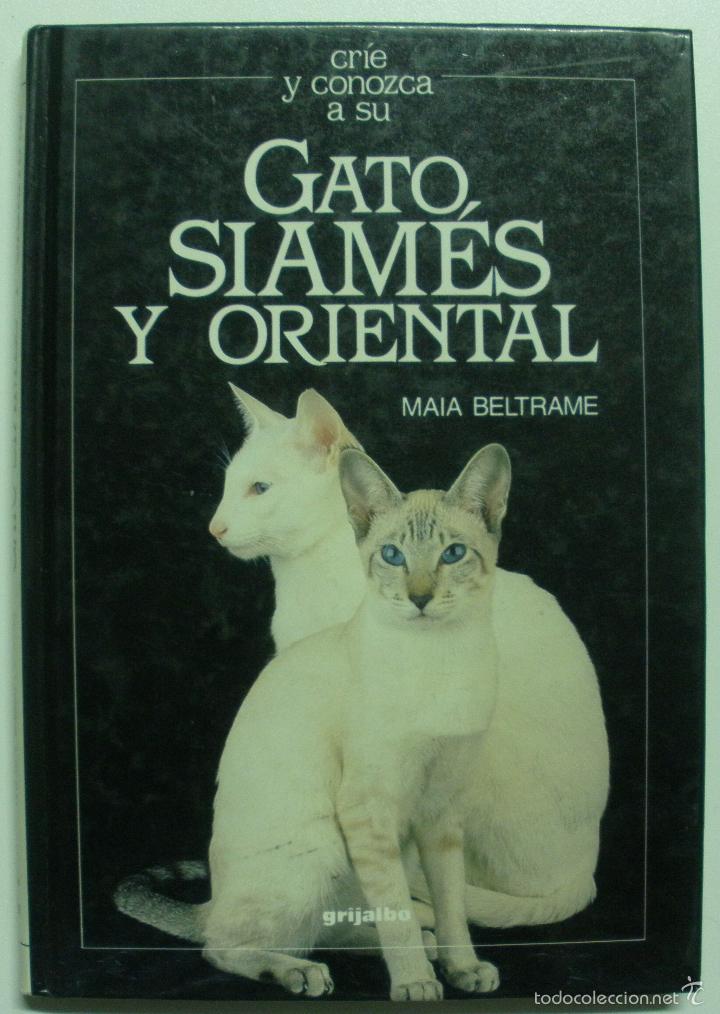 Libros: GATO SIAMES Y ORIENTAL / Maia Beltrame - Foto 1