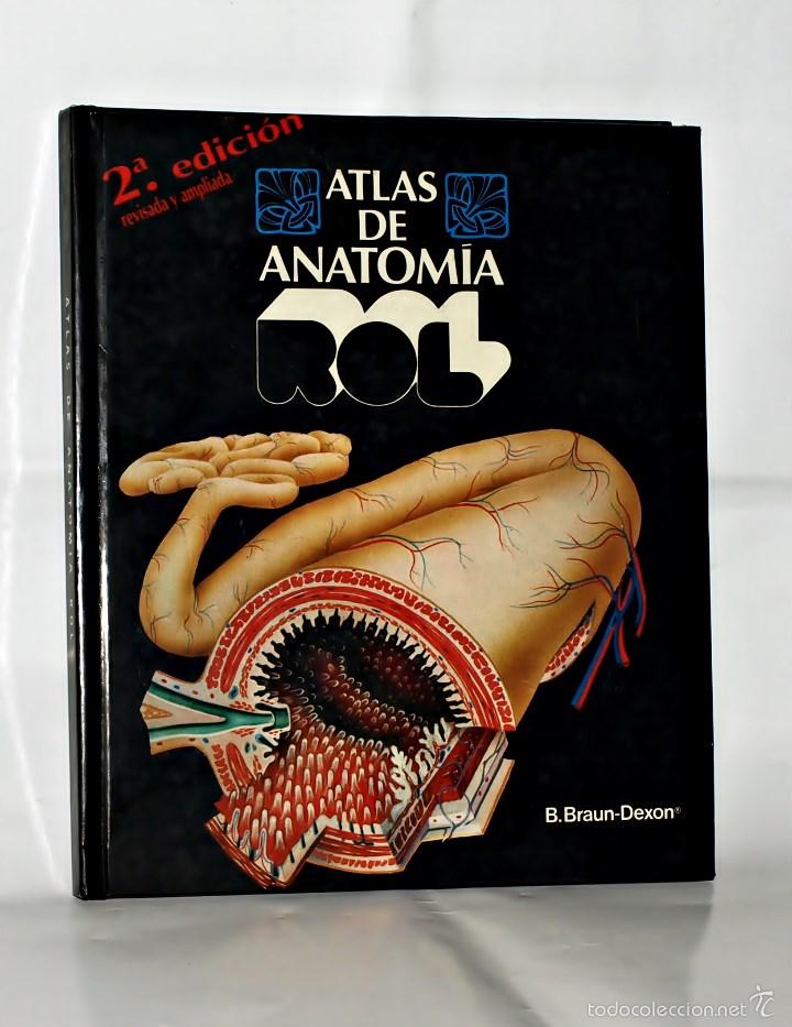 Libros: LIBRO ATLAS DE ANATOMIA ROL 2&ordf; Edic1987 - Foto 1