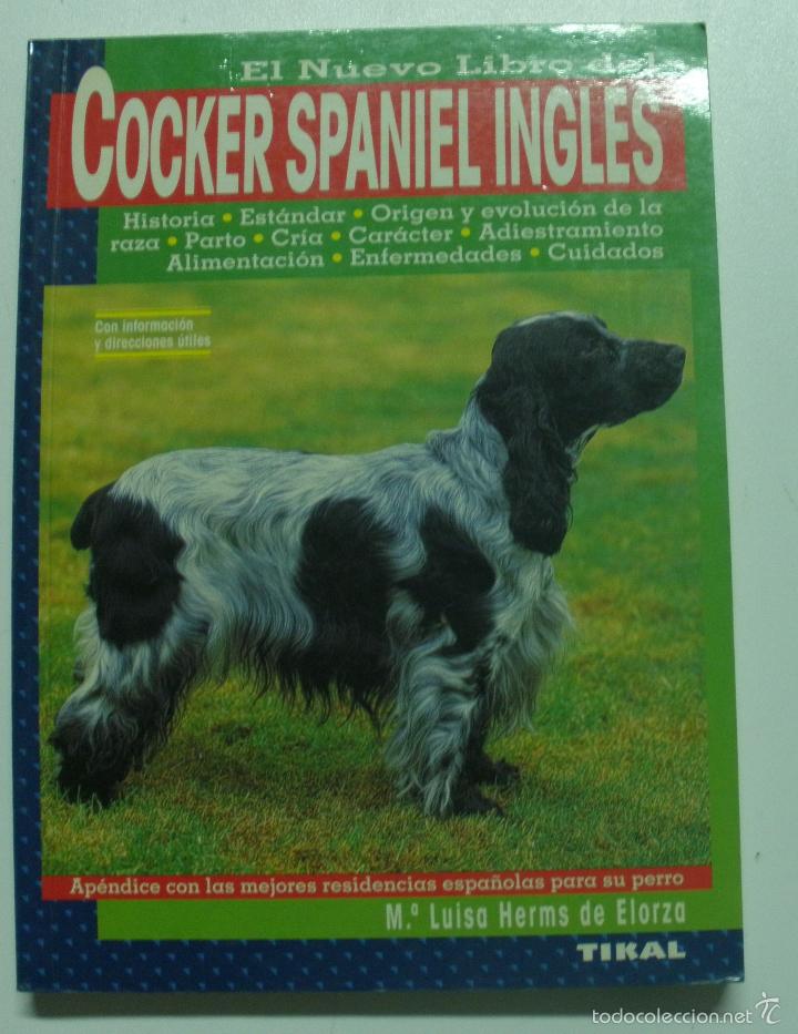 Libros: Cocker Spaniel Ingles / Herms de Elorza, Mar&iacute;a Luisa - Foto 1