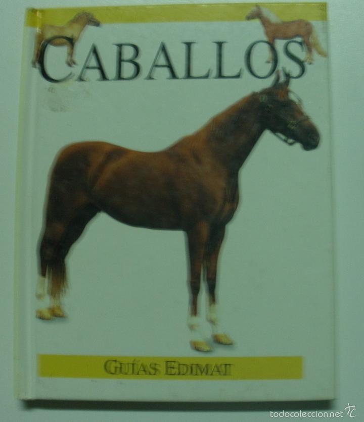 Libros: Caballos / Rebeca Kingsley - Foto 1