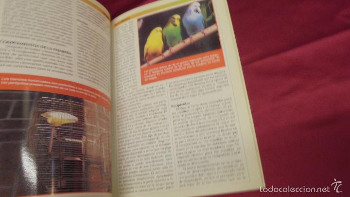 Libros: MANUAL PR&Aacute;CTICO DE PERIQUITOS. JOHN BALES. HISPANO EUROPEA. - Foto 2