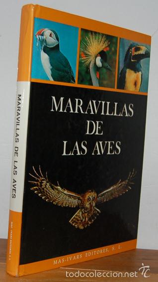 Libros: MARAVILLAS DE LAS AVES - HAN RENSENBRINK - Foto 1