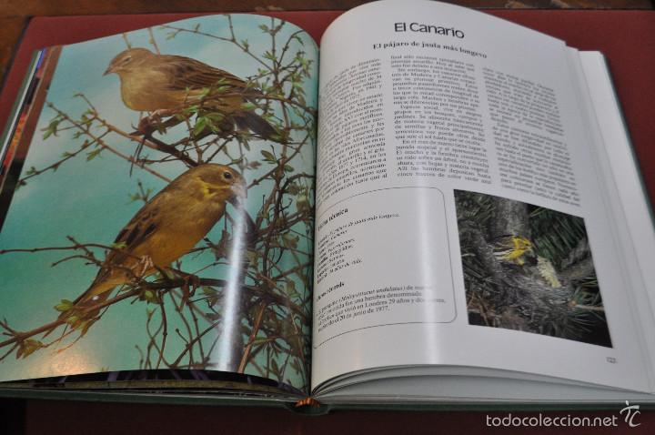 Libros: Records de la naturaleza , ediciones urbion - FFB - Foto 2