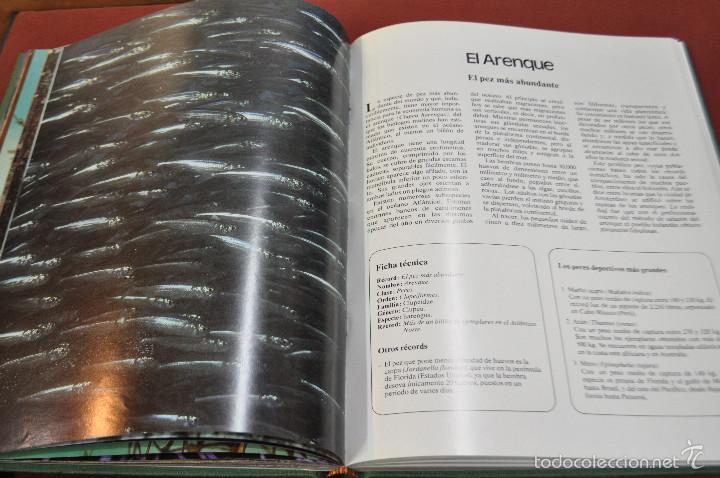 Libros: Records de la naturaleza , ediciones urbion - FFB - Foto 3