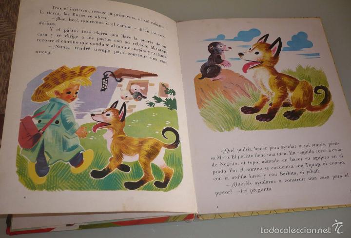Libros: CONEJITO ALBA&Ntilde;IL. Ed Juventud 1961 - Foto 4