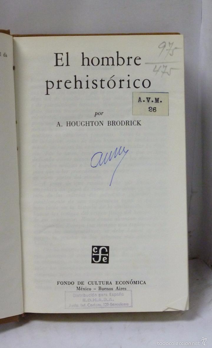 Libros: EL HOMBRE PREHISTORICO - Houghton Brodrick, A. - Foto 1