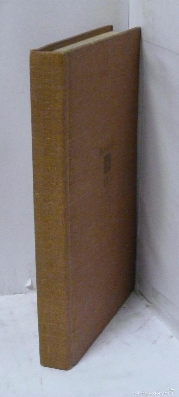 Libros: EL HOMBRE PREHISTORICO - Houghton Brodrick, A. - Foto 2