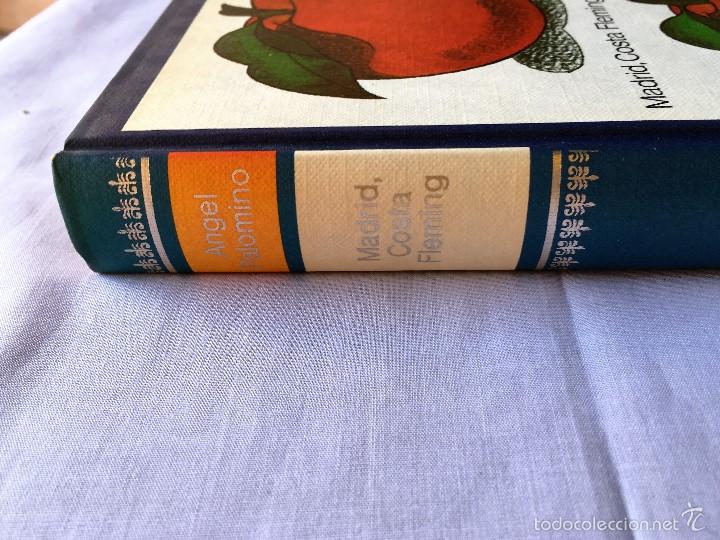 Libros: MADRID, COSTA FLEMING de Angel Palomino - Foto 2