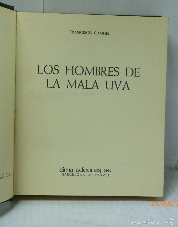 Libros: LOS HOMBRES DE LA MALA UVA - Candel, Francisco - Foto 1