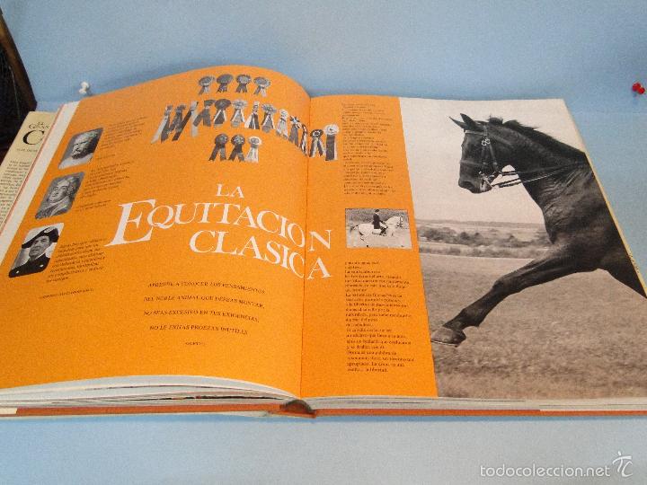 Libros: El gran libro del caballo.- -H. H. Isenbart /  E. M. B&uuml;hrer - Foto 8