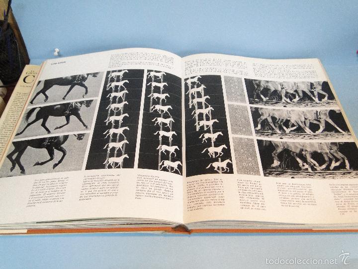 Libros: El gran libro del caballo.- -H. H. Isenbart /  E. M. B&uuml;hrer - Foto 9