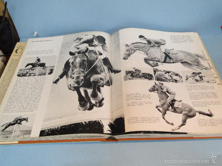 Libros: El gran libro del caballo.- -H. H. Isenbart /  E. M. B&uuml;hrer - Foto 10