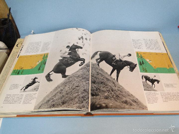 Libros: El gran libro del caballo.- -H. H. Isenbart /  E. M. B&uuml;hrer - Foto 11
