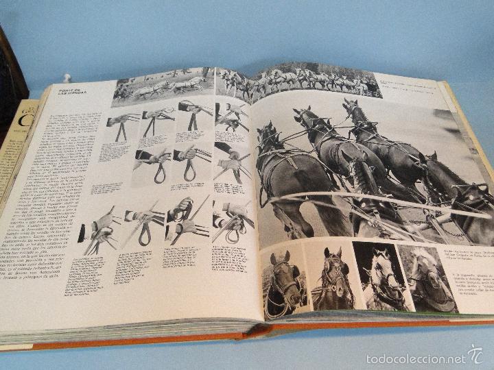 Libros: El gran libro del caballo.- -H. H. Isenbart /  E. M. B&uuml;hrer - Foto 14