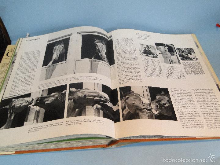 Libros: El gran libro del caballo.- -H. H. Isenbart /  E. M. B&uuml;hrer - Foto 15